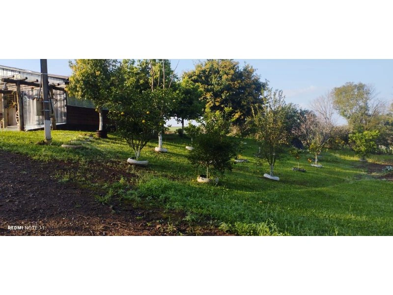 Chácara à venda, 20000 m² por R$ 530.000,00 - Interior - Santa Rosa/RS — foto 6 de 6