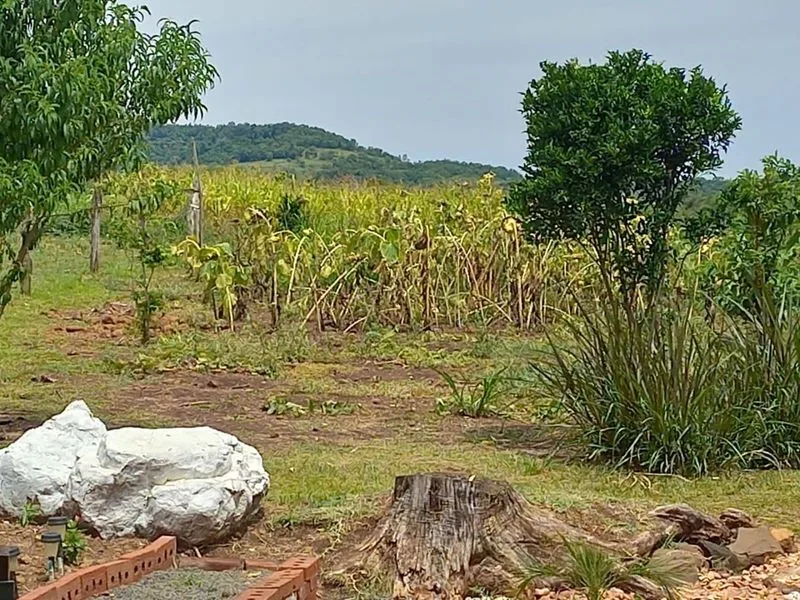 Casa no Roncador com terreno amplo — foto 9
