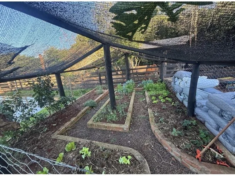 Chácara no Lajeado Bonito, Santa Rosa — 2.400 m² — foto 5